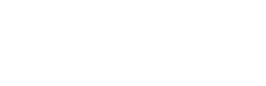 TravelEx Tourism