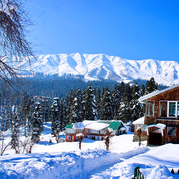 TravelEx Tourism Home Popular Holidays India Kashmir Image
