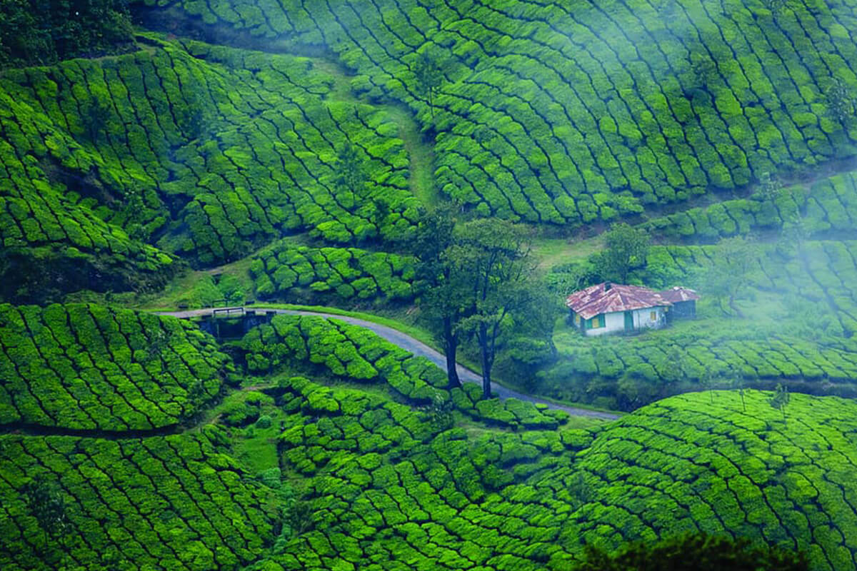 TravelEx Tourism Honeymoon Tour Kerala Image